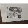 Image 5 : LOT 4 8X10 BASEBALL PHOTO AUTOGRAPH ROY WHITE &