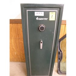 Sentry gun safe