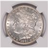 Image 2 : 1891-CC Morgan Dollar NGC MS-61 (Spitting Eagle)