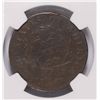 Image 3 : 1794 LARGE CENT NGC VF  environmental damage