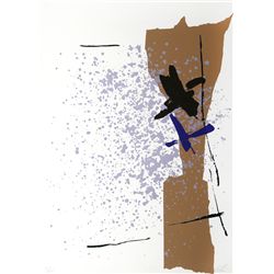 Kikou Saito, Paper Lake, Silkscreen