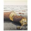 Image 1 : Alain Le Foll, Logs, Lithograph