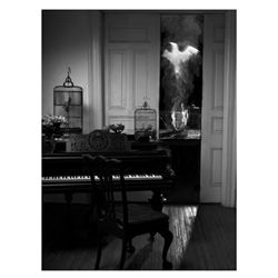 Lauren Bilanko, The Phoenix Returns from the Leon Eyrie Series, Digital Fiber Print
