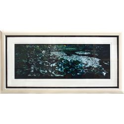 Lucien Clergue, Monet's Garden, Color Photograph