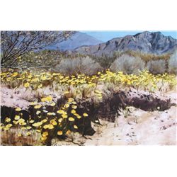 Edson Newquist, Desert Spring, Giclee