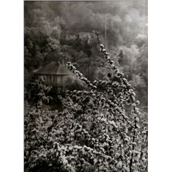 Josef Sudek, View of Spring from our Street, Photograph