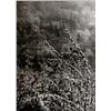 Image 1 : Josef Sudek, View of Spring from our Street, Photograph