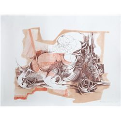 Roberto Burle Marx, Pomba Gina I, Lithograph