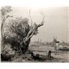 Image 1 : Rembrandt van Rijn, Vue d'Omval pres d'Amsterdam (B209), Heliogravure