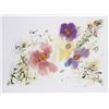 Image 1 : Helen Covensky, Homage to Spring, Lithograph