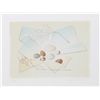 Image 1 : Mary Faulconer, Spring Hope, Lithograph