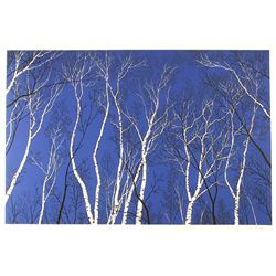 Mel Hunter, Look Up, Look Up, Lithograph