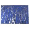Image 1 : Mel Hunter, Look Up, Look Up, Lithograph