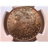 Image 1 : 1886 Morgan Dollar Ch MS64 NGC