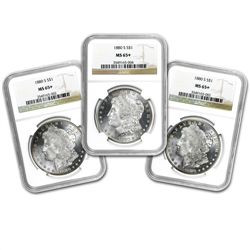 1878-1904 Morgan Dollar - MS-65+ Plus NGC