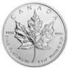 Image 1 : 2013 1 oz Canadian Platinum Maple Leaf