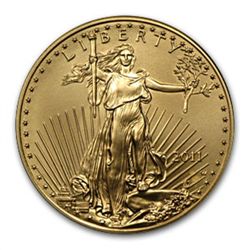 2011-W 1 oz Burnished Gold American Eagle (w/Box &amp;