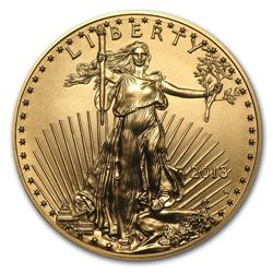 2013-W 1 oz Burnished Gold American Eagle (w/Box &amp;