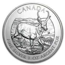 2013 1 oz Silver Canadian Wildlife Series - Antelope