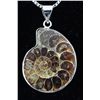 Image 1 : 11.12GRAMS AMMONITE FOSSIL GEMSTONE SNAIL PENDANT