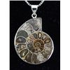 Image 2 : 11.12GRAMS AMMONITE FOSSIL GEMSTONE SNAIL PENDANT