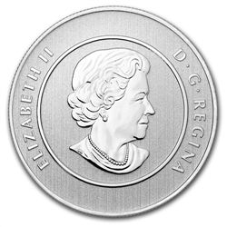 2012 1/4 oz Silver Canadian $20 Coin &amp; COA - Magica