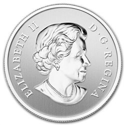 2013 1/2 oz Silver Canadian $10 - Year of the Snake (St