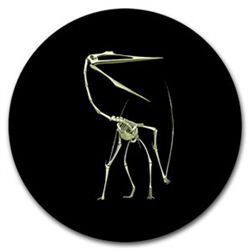 2013 Canadian $0.25 Glow in the Dark Dinosaur - Quetzal