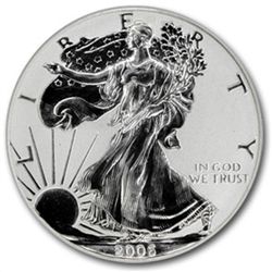 2006-P (Reverse Proof) Silver Eagle PR-69 PCGS 20th Ann