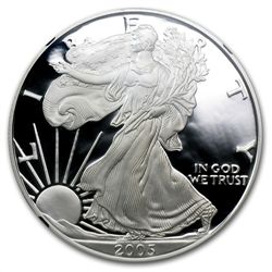 2005-W Proof Silver American Eagle PF-69 NGC (Retro Bla