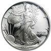 Image 1 : 1994-P Proof Silver American Eagle PF-69 NGC (Retro Bla