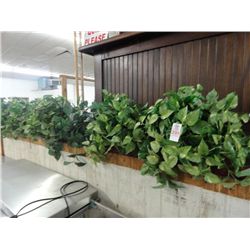 Lot of Silk Plants