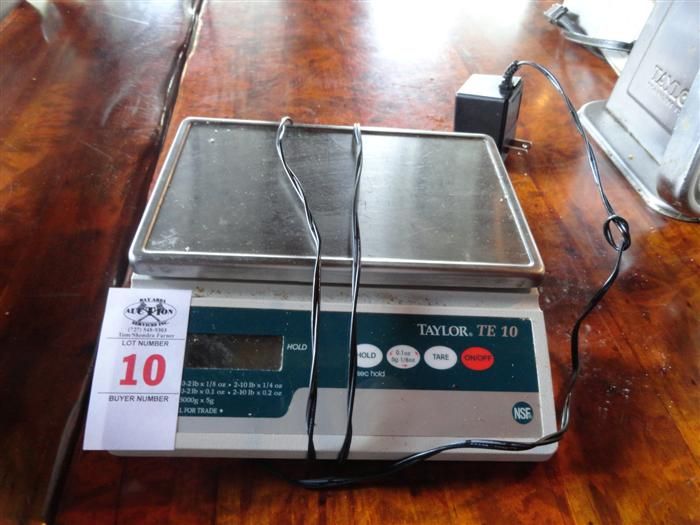 Taylor Digital Scale