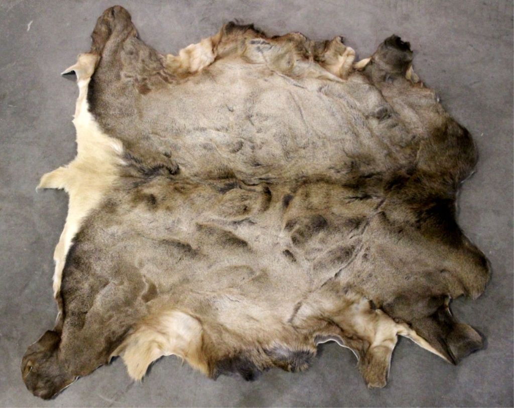 Elk Fur Hide
