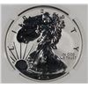 Image 2 : 2013-W AMERICAN SILVER EAGLE REVERSE PROOF NGC PF-69 FIRST RELEASE