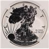 Image 2 : 2013-W AMERICAN SILVER EAGLE REVERSE PROOF NGC PF-69 FIRST RELEASE