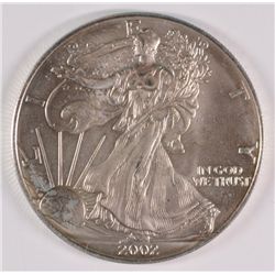 2002 Silver America Eagle