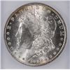Image 2 : 1884 Morgan Dollar ICG MS-64