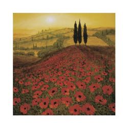 Steve Thoms Poppies Art Print