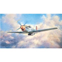 Mustang John Young North American P-51