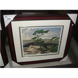 FRAMED LIMITED EDITION 1215/1750 GROUP OF SEVEN PRINT TITLED  WHITE PINE  BY ARTIST A.J.CASSON