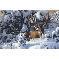 Winter Quarters by Randsom Owens