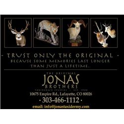 $1500 Taxidermy Credit - Jonas Bros. Taxidermy Studio