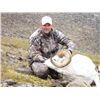 Image 3 : 10-Day 2015 Dall Sheep Hunt with Alaska Wilderness Enterprises