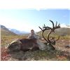 Image 3 : Mountain Caribou Hunt with Ram Head Outfitters, Stan Simpson 2015
