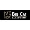 Image 1 : $1500 Taxidermy Credit - Big Cat Taxidermy