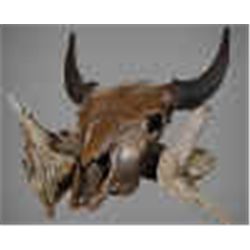 Bison Skull - Copper