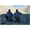 Image 1 : Mid Asian Ibex Hunt with Asian Mountain Outfitters