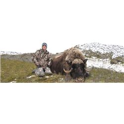 Greenland Muskox Hunt on Victoria Island with Canada North Outfitting