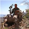 Image 2 : El Fuerte Desert Bighorn Sheep Hunt with Ty Miller